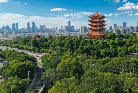 足球球探网比分直播-足球球探网比分直播，球迷的实时战场与战术解码器